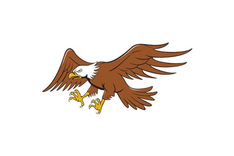 American Bald Eagle Swooping Cartoon Custom Designed Illustrations