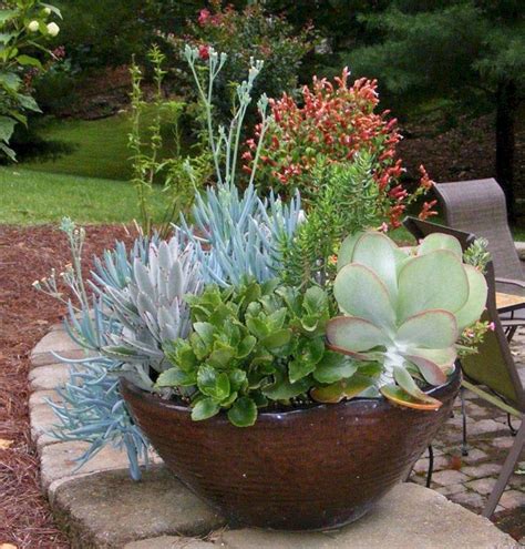 21 Succulent Container Garden Ideas You Cannot Miss Sharonsable