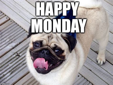 Happy Monday Imgflip Happy Monday Funny Monday Humor Happy Monday