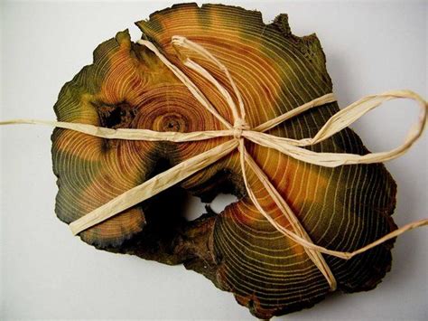 Custom Made Petrified Driftwood Coasters By Julie Macala Via Custommade