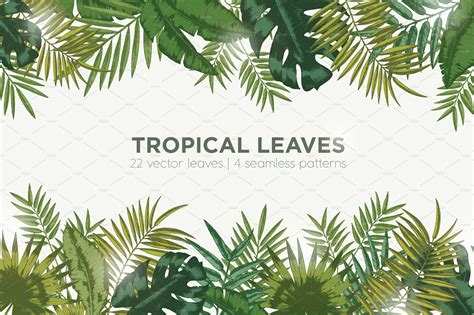Foliage Of Exotic Jungle Plants ~ Illustrations ~ Creative