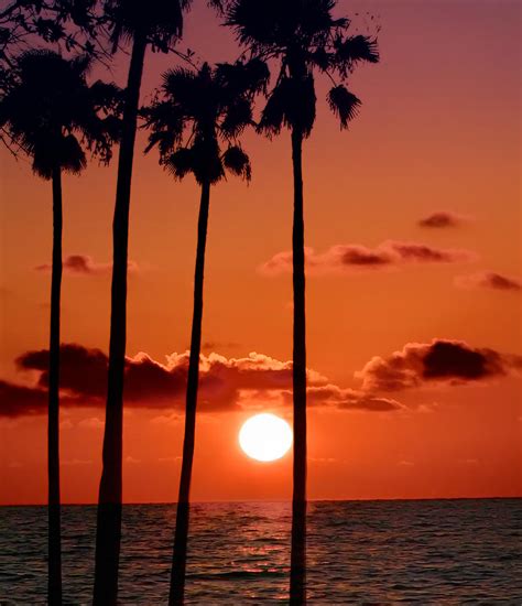 Gulf Coast Sunset Photograph By Bill Cannon Fine Art America
