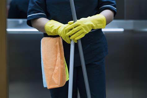 Meet The Expert Professional Cleaning And Maintenance Services