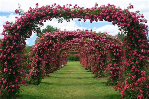untuk kamu yang romantis berikut 10 taman bunga mawar terindah di dunia
