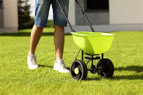 Lawn Care 101 Fertilizing A Touch Of Dutch Landscaping And Garden