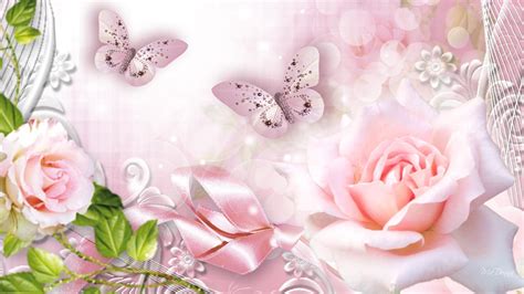 Roses Butterfly Wallpapers Wallpaper Cave