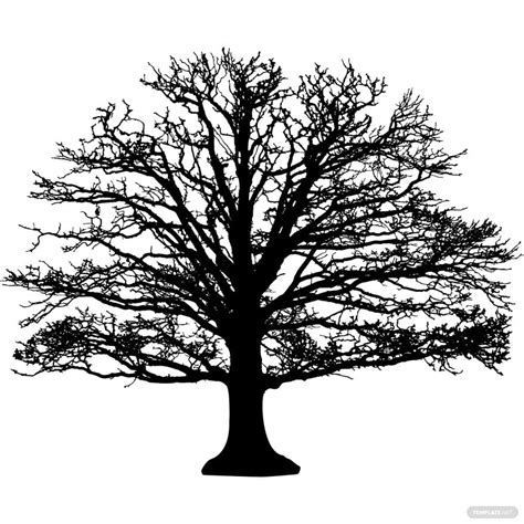 Leafless Oak Tree Silhouette In Psd Illustrator Svg  Eps Png