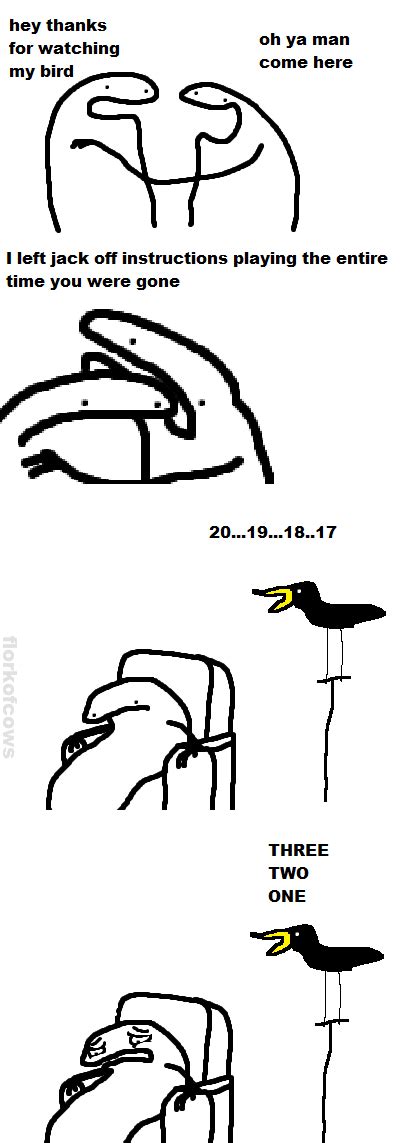 Joi Florkofcows
