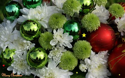 Christmas Widescreen Wallpapers Flowers