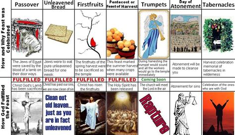 The Beautiful Picture Of The Seven Feasts Of Israel Feasts Of The
