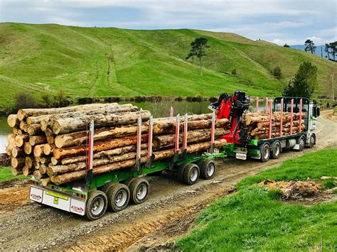 International Logging Truck • Mills Tui