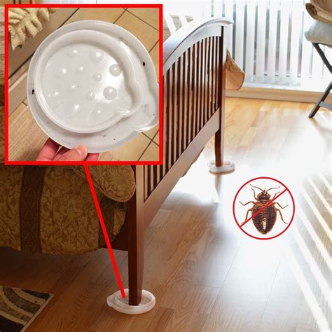 Bug interceptors take advantage of the fact that bed bugs are not good at climbing slippery, vertical surfaces. Robot Check | Bed bug trap, Bug trap, Bed bugs