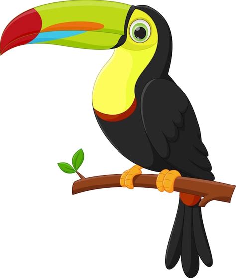 Toucan Bird Clip Art