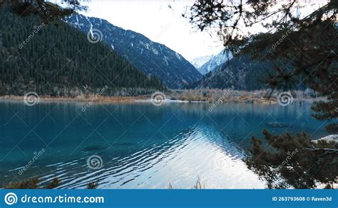 A Mountain Lake With Turquoise Water Flooded Trees Stock Photo Image