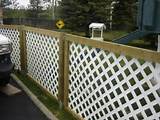 Pictures of Cheap Wood Fencing Panels