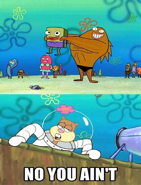 Spongebob Squarepants 10 Sandy Memes That True Fans Will Love His