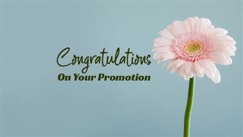 Promotion Wishes To Colleague Congratulations Messages
