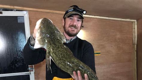 Catch And Cook Burbot Lake Nipissing Ling Cod Craft Beer And Eel