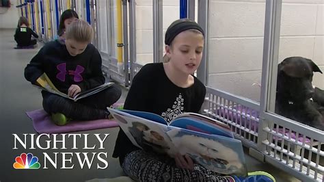 Children Help Get Shelter Dogs Tails Wagging By Reading To Them Nbc