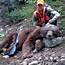Bear Hunting In Colorado  Smart Durango