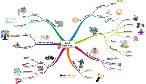 Mindmap Voorbeeld Google Zoeken Map Time Management Coaching Hot Sex Picture