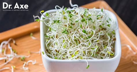 Alfalfa Sprouts Benefits And How To Grow Dr Axe