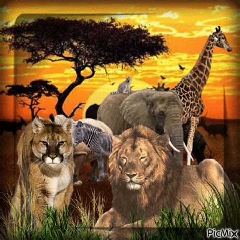 Wild Animals Free Animated  Picmix