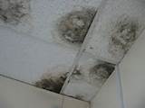 Images of Interlocking Ceiling Tile Repair
