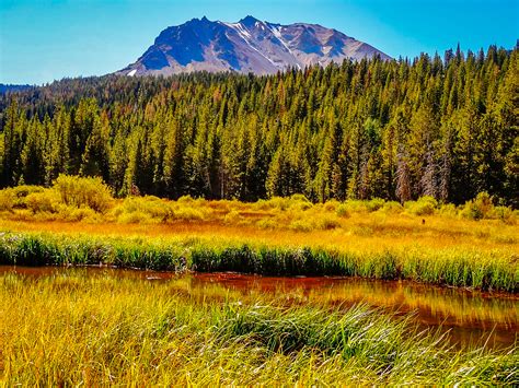 First Report Hat Creek Meadow Peaks California Fall Color