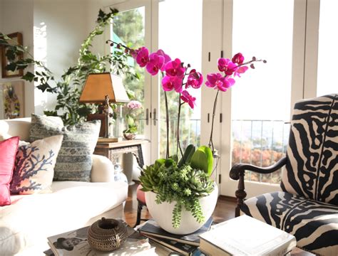 Ecco 5 idee perfette per dare una nuova vita alla propria casa. Arredare casa con fiori e piante