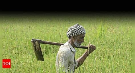 Agriculture Bills 2020 Why Punjab Haryana Farmers Are Worried About A