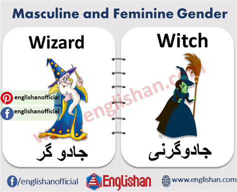 100 Examples Of Masculine And Feminine Gender List Englishan