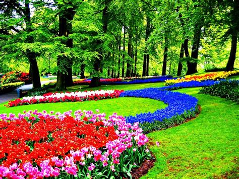 Keukenhof Flower Park Series Top 16 Most Unusual And Original Parks