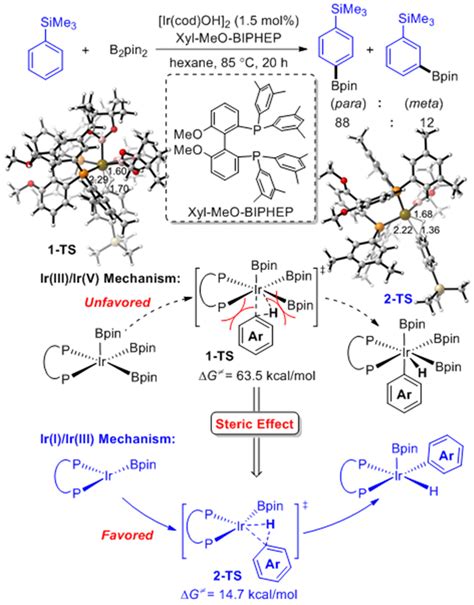Theoretical Advances Of Transition Metals Mediated Ch Bonds Cleavage