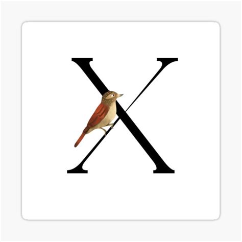 X Monogram Animal Alphabet Letter X Xenops Sticker For Sale By