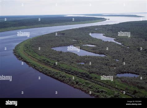 Aerial View Of The Yenisei River Near Igarka Siberia Russia Stock