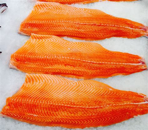 Fresh Whole Salmon Ocean Wave Fisheries