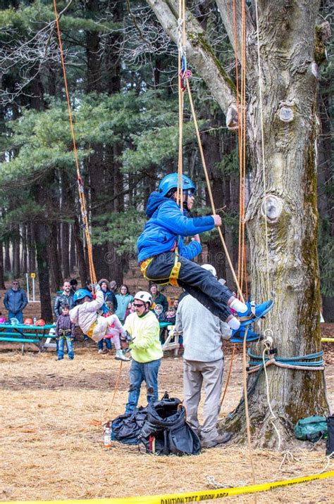 Children Climbing Trees In A Harness Editorial Photo Image Of Fear