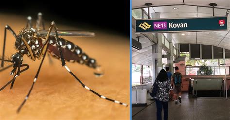 3 Zika Cases Confirmed In Kovan Residents In Kovan Advised To Monitor