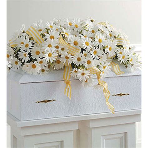 Elegant Daisy Casket Spray C Funeral Flower Arrangements Casket