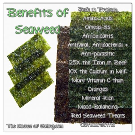 Rainbowdiary Seaweed Health Benefits