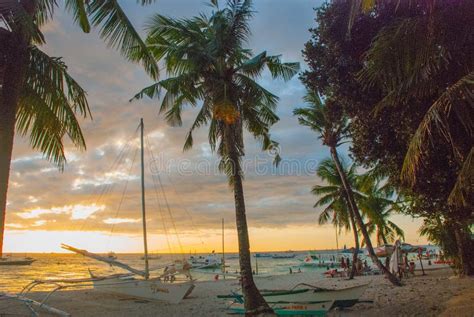 Beautiful Tropical Landscape With Palm Trees In The Evenin Boracay