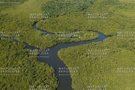Natureza Brasileira Banco De Imagens Canal Do Varadouro Parque