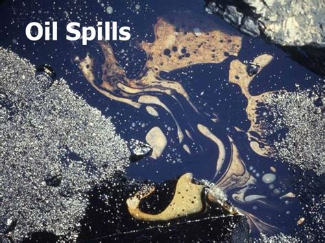 Ppt Oil Spills Powerpoint Presentation Free Download Id6850762