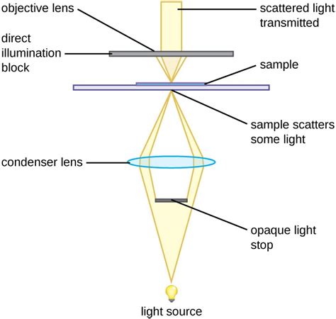 🏷️ This Microscope Achieves The Highest Magnification And Greatest