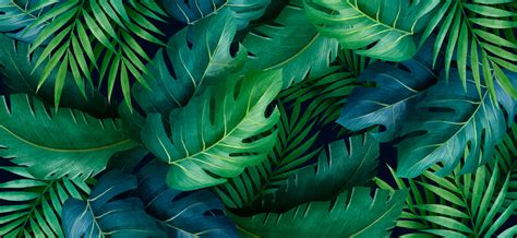 100 Tropical Leaves Desktop Wallpapers