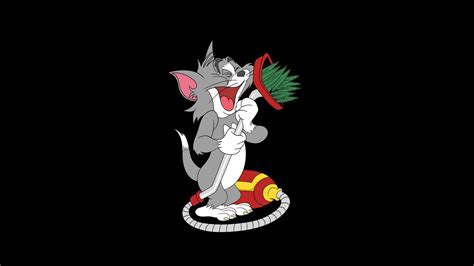 Tom From Tom And Jerry Wallpaperhd Cartoons Wallpapers4k Wallpapers