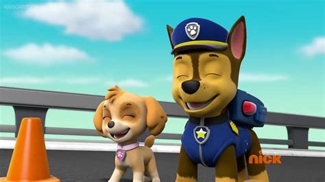 Skye X Chase Skye And Chase Paw Patrol Photo 39995239 Fanpop