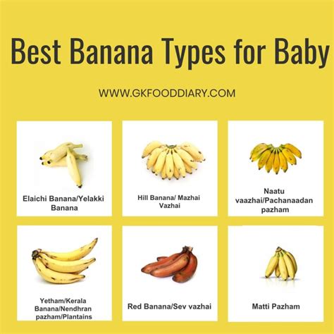 Banana Recipes For Babies And Kids Can I Give My Baby Banana Banana