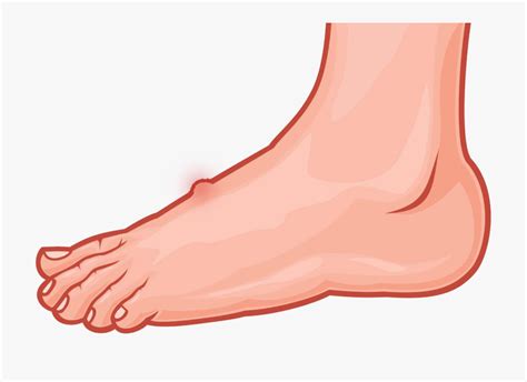 Foot Clipart Human Foot Foot Human Foot Transparent Free For Download